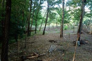 Terreno camerota paese con ruderi