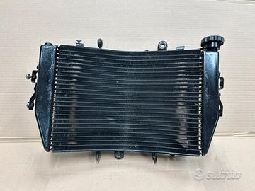 Radiatore Completo Triumph Speed Triple 1050 2011