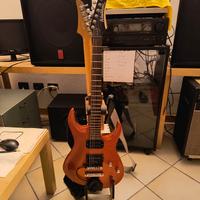 Washburn XM-STD