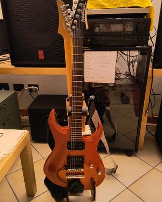 Washburn XM-STD