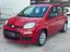 Immagine 4