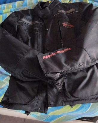 Giubbotto Harley Davidson
