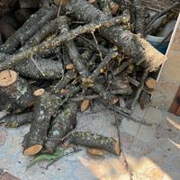 Legna da ardere d castagno, nocciole,acacie,cippat