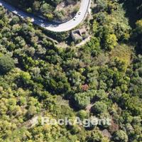 TERRENO AGRUMETO ULIVETO CON CASA COLONICA