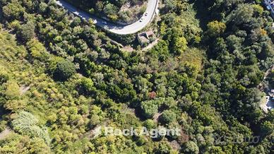 TERRENO AGRUMETO ULIVETO CON CASA COLONICA
