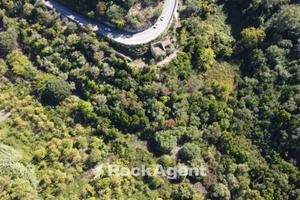 TERRENO AGRUMETO ULIVETO CON CASA COLONICA