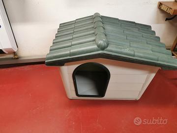 cuccia cane