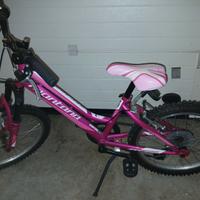 Bicicletta  Montana Skype