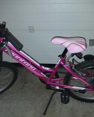 Bicicletta  Montana Skype