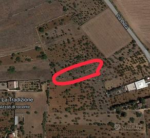 Porzione di terreno edificabile in Casamassima