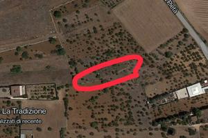 Porzione di terreno edificabile in Casamassima