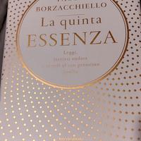 La quinta essenza libro di Paolo Borzacchiello 