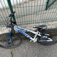 Bici Mountain Bike 24 pollici Eagle Dirty