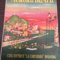 Aurore beate nando orlandi