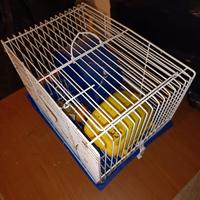 Gabbia piccola per Criceto