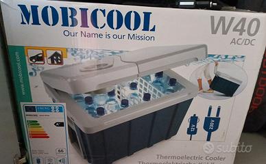 Frigorifero portatile elettrico 