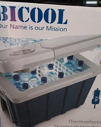 Frigorifero portatile elettrico 