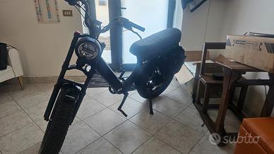 Bicicletta elettrica ape Ryder