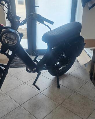 Bicicletta elettrica ape Ryder