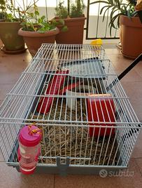 Gabbia più criceto