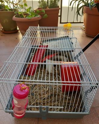 Gabbia più criceto