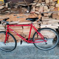 bicicletta