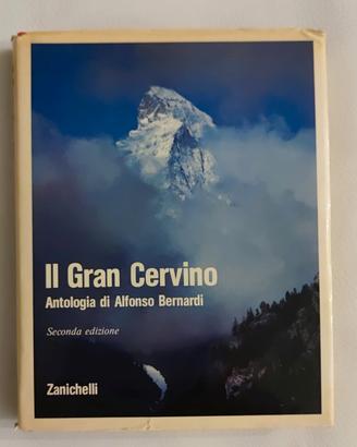 libri Il Gran Cervino