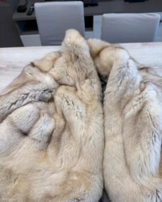 Pelliccia in pelle di Volpe della Groenlandia