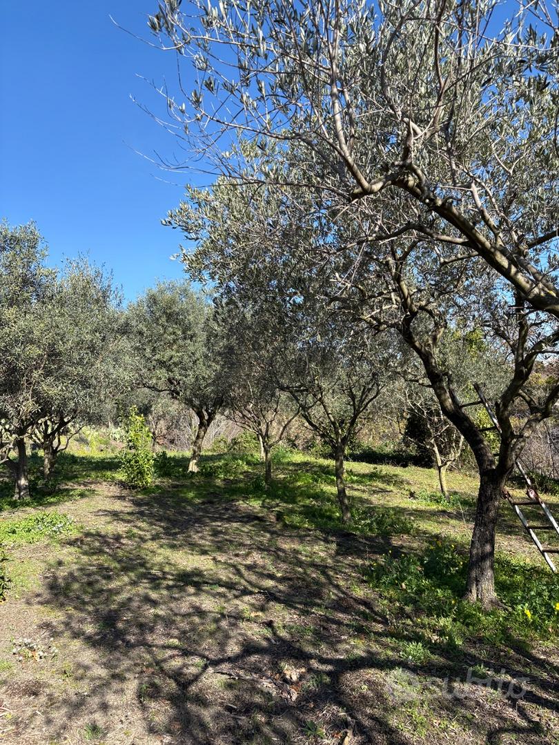 Terreno agricolo - Vista 3
