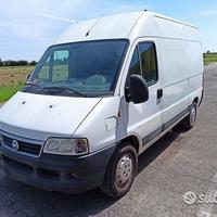 Fiat ducato maxi 2a s. restyling - motore 814043s