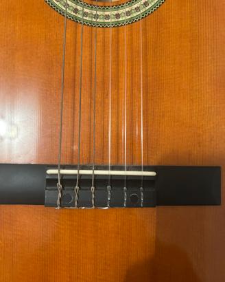 Chitarra Classica+Manuale+Borsa trasportabile