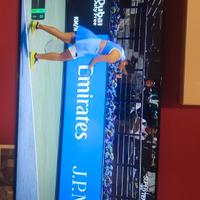 tv samsung 55 pollici 