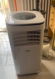 Pinguino condizionatore Zephir