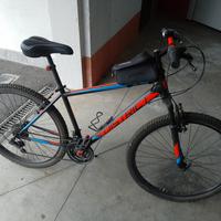 bicicletta MTB