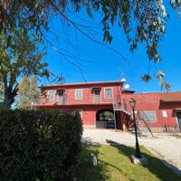 Roma est: appartamento con terrazzo