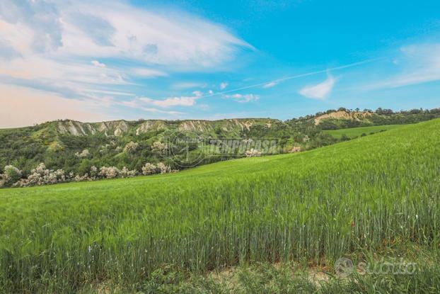 13 ETTARI DI TERRENO SEMINATIVO A CASTEL SAN PIETR