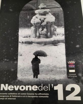Il nevone del 2012