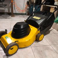 tagliaerba da giardino elettrico