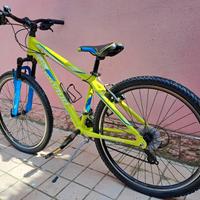 Bicicletta per ragazzo