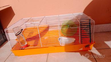 gabbie per criceti con accessori 