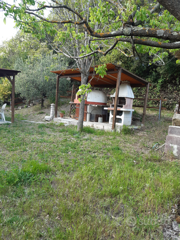 Terreno agricolo con casetta come annesso agricolo