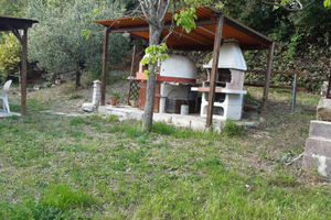 Terreno agricolo con casetta come annesso agricolo