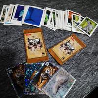 Figurine Coop WWF il giro del mondo