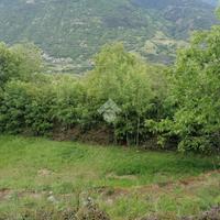TER. AGRICOLO A AOSTA
