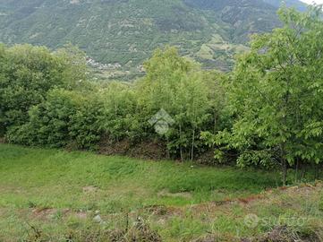 TER. AGRICOLO A AOSTA