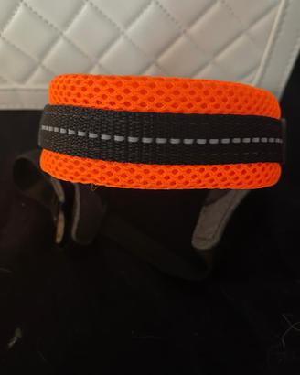 Pettorina TRE PONTI per cuccioli