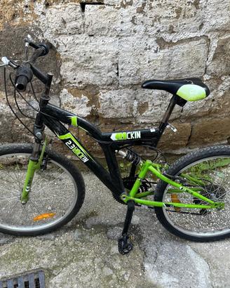 bicicletta