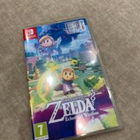 Zelda echoes of wisdom switch
