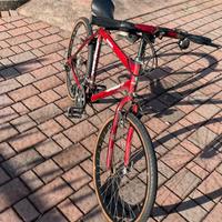 Bicicletta uomo