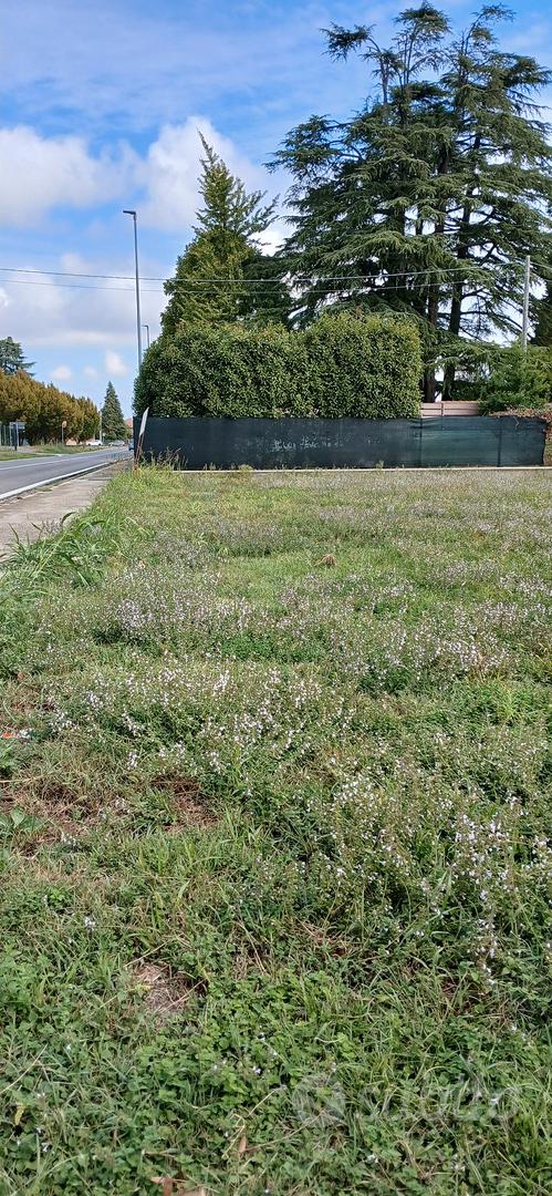 Terreno Edificabile Urbanizzato - Altro